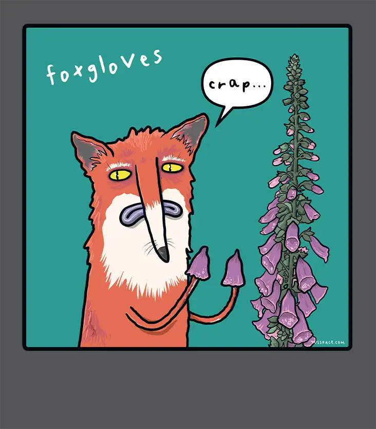 Foxgloves - Organic Cotton T-shirt