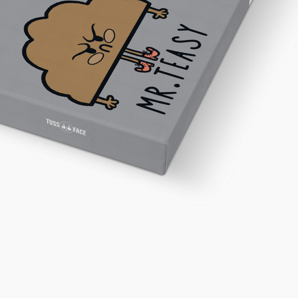 Mr Teasy Eco Canvas
