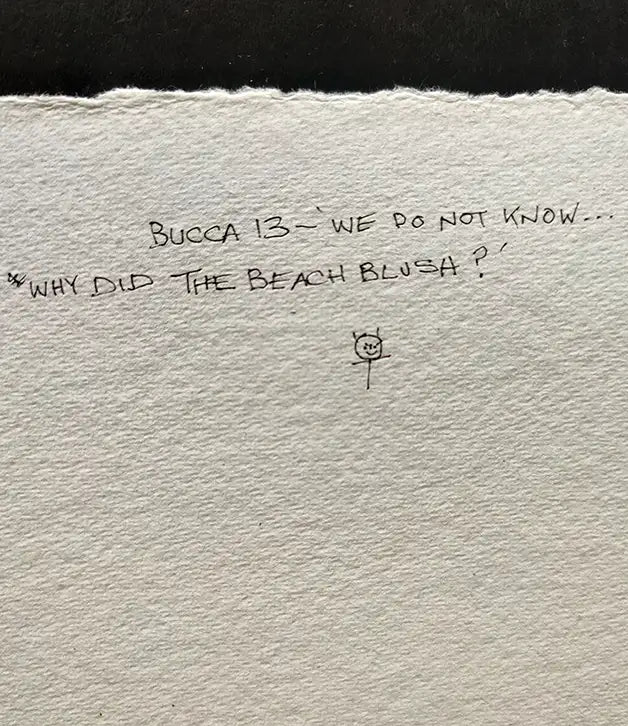 We Do Not Know...Why Did The Beach Blush?  - Original Painting
