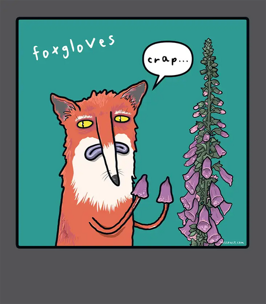 Foxgloves - Organic Cotton T-shirt