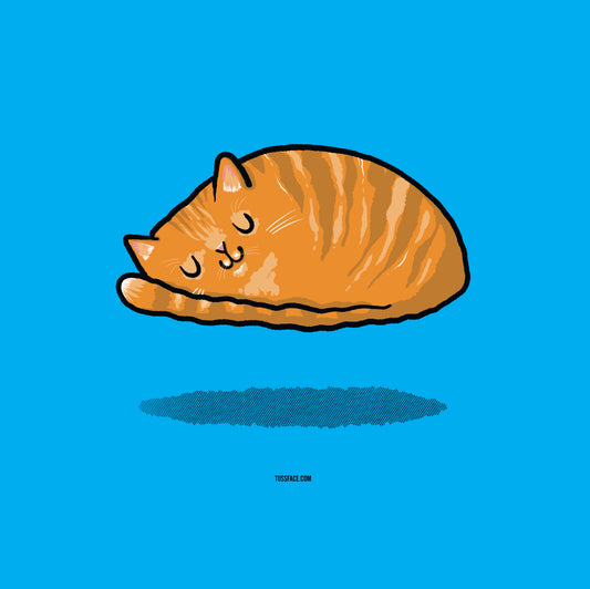 Hover Cat - Organic Cotton T-shirt