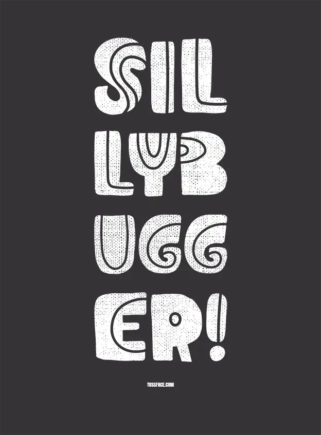 Silly Bugger! - Cornish Dialect T-shirt