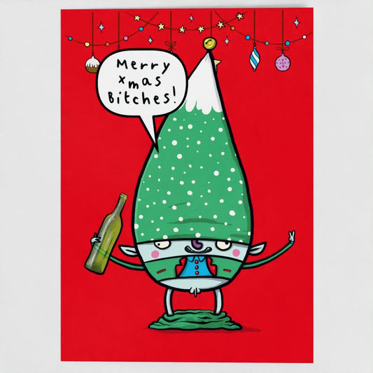 Merry Xmas Bitches! - Sweary Fairies Card
