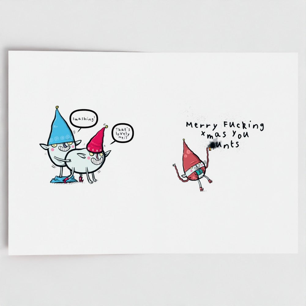Merry Xmas Bitches! - Sweary Fairies Card